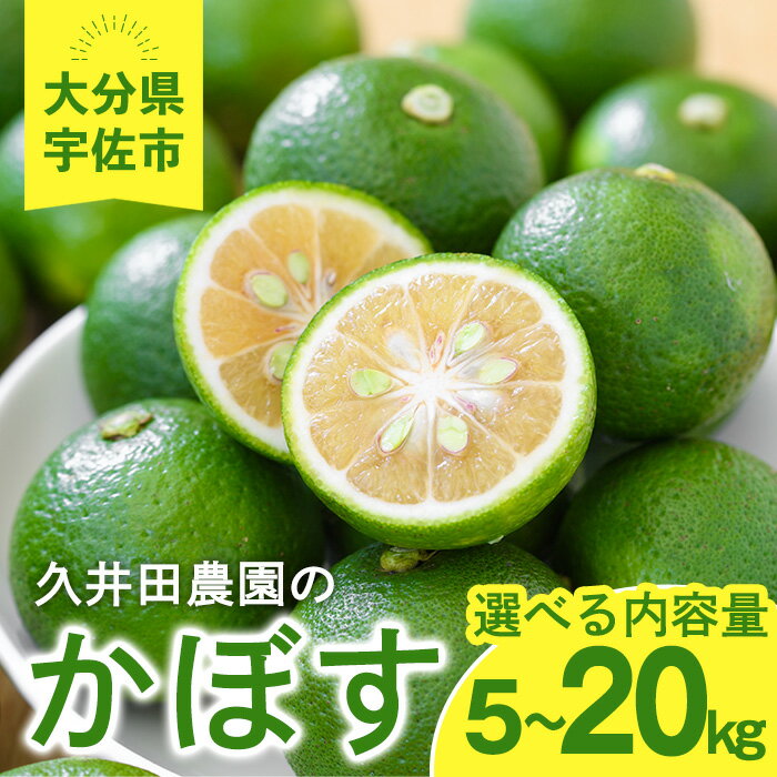 【ふるさと納税】＜先行予約受付中！2026年8月上旬以降順次発送予定＞＜内容量が選べる！＞かぼす(5kg〜20kg)柑橘 かんきつ 大分県産直【112600100・112600200・112600300・112600400】【andK】