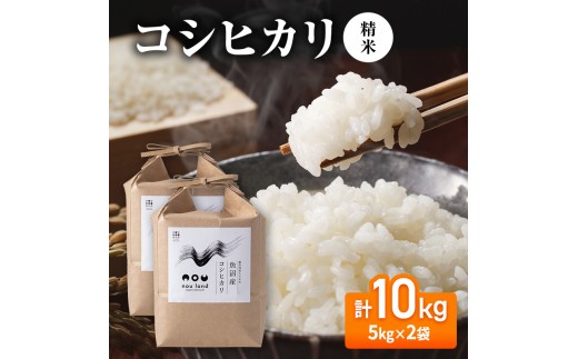 【先行予約】令和8年産 コシヒカリ精米5kg×2袋