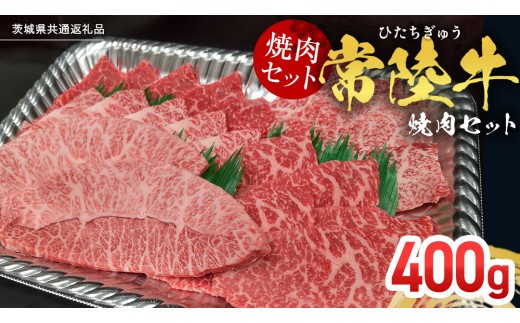 
            【常陸牛】焼肉セット 400g (茨城県共通返礼品) 国産 牛肉 肉 お肉 焼き肉 バーベキュー BBQ カメノコ サンカクバラ ミスジ イチボ ササミ ザブトン シンシン カイノミ ボンジョー タテバラ 三角バラ サイコロステーキ サーロイン リブロース ランプ ウワミスジ ヒレ
          