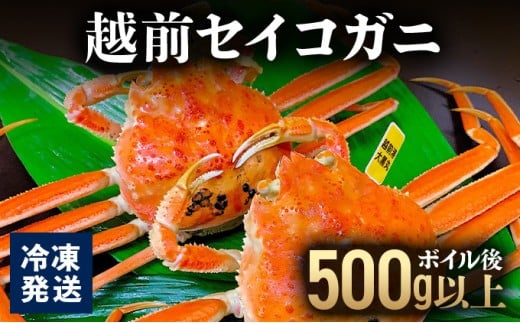 越前セイコガニ 　ボイル後500g以上 (ボイル前600g前後) 冷凍 お届け時期：11月10日以降順次発送【マイマルシェ 敦賀 越前蟹 カニ 蟹 セイコガニ 海鮮 かに鍋 かにしゃぶ NEW 新規】[090-a017]