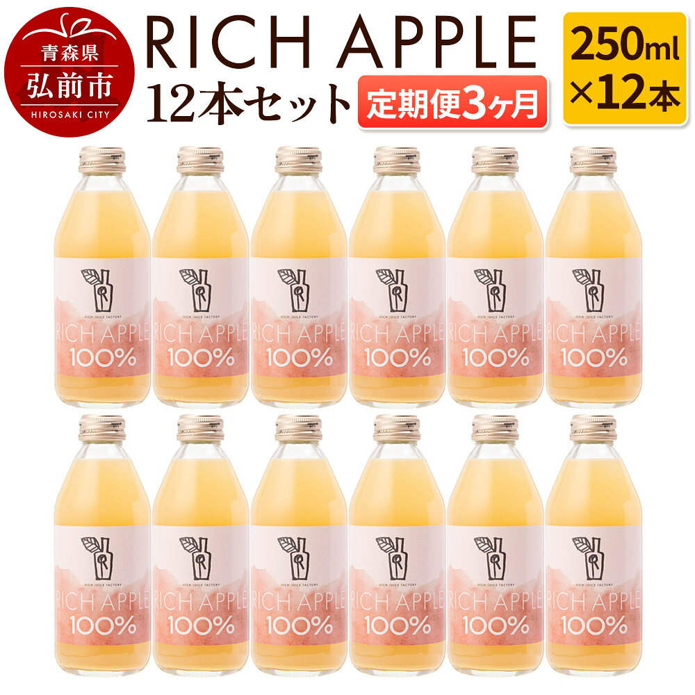 【ふるさと納税】【定期便3ヶ月】RICH APPLE りんごジュース12本セット（250ml×12本×3回）【飲料類 果汁飲料】 [アップル おいしい ジュース セット セット品 りんご 飲料 果実 果物 置き場に困らない 定期発送 定期便]