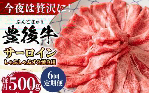 【全6回定期便】【厳選部位】おおいた豊後牛 サーロイン しゃぶしゃぶすき焼き用 500g 日田市 / 株式会社MEAT PLUS おおいた豊後牛 おおいた 豊後牛 黒毛和牛 スライス しゃぶしゃぶすき焼き しゃぶしゃぶ すき焼き 小分け サーロイン 和牛 [AREI084]