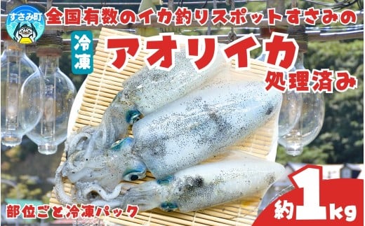 アオリイカ すさみ産 冷凍 1kg 肉厚 いか イカ 小分け 下処理済 冷凍 刺身 海鮮 真空パック【scp131】