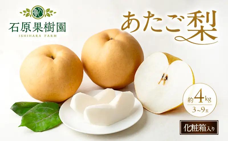 梨 フルーツ あたご梨 岡山県産 梨【3～9玉 約4kg】【先行予約】