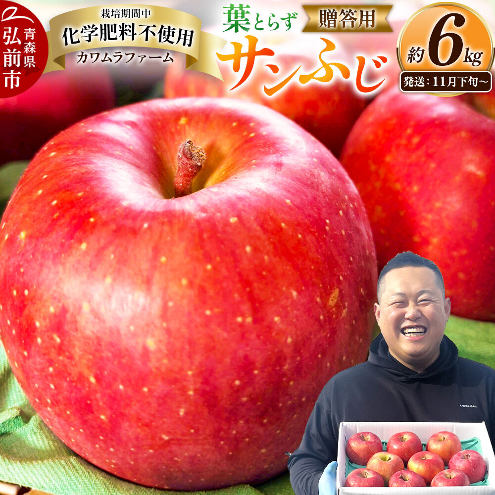 【26年11月下旬～発送】りんご 葉とらず サンふじ【贈答用】約6kg【先行受付】カワムラファーム 青森県 弘前市 果物 フルーツ 林檎 リンゴ くだもの ギフト 贈り物 [先行予約 産地直送 アップル おいしい 果実 美味 甘い 赤色]