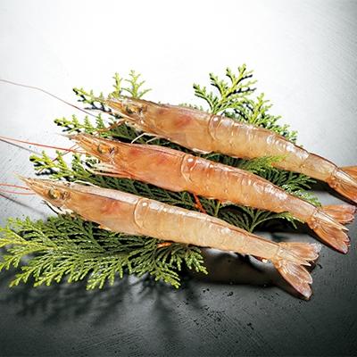 ふるさと納税 豊前市 幻のヨシエビ(計800g) |  | 01