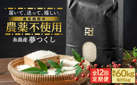 【全12回定期便】農薬を使わずに育てた 山つき 5kg 夢つくし 吉富町/(株)やました[BGBX016]