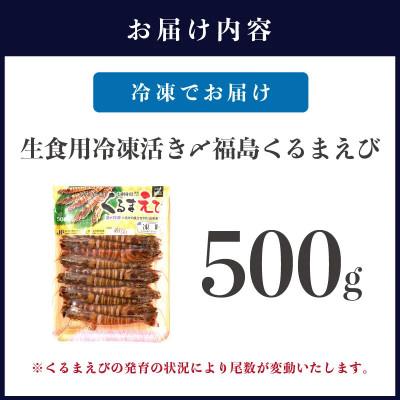 ふるさと納税 松浦市 生食用  瞬間冷凍活き〆福島くるまえび500g |  | 03