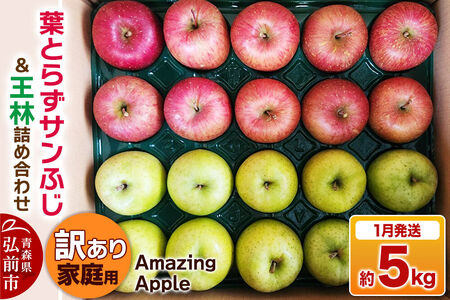 【寄附金額見直しました】【27年1月発送】りんご 葉とらずサンふじ＆王林 詰め合わせ【訳あり】家庭用 約5kg