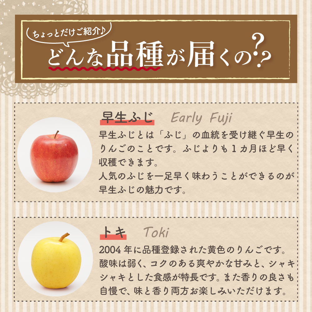 【2027年1月上旬発送】おまかせ 訳ありりんご 約 3kg 青森
