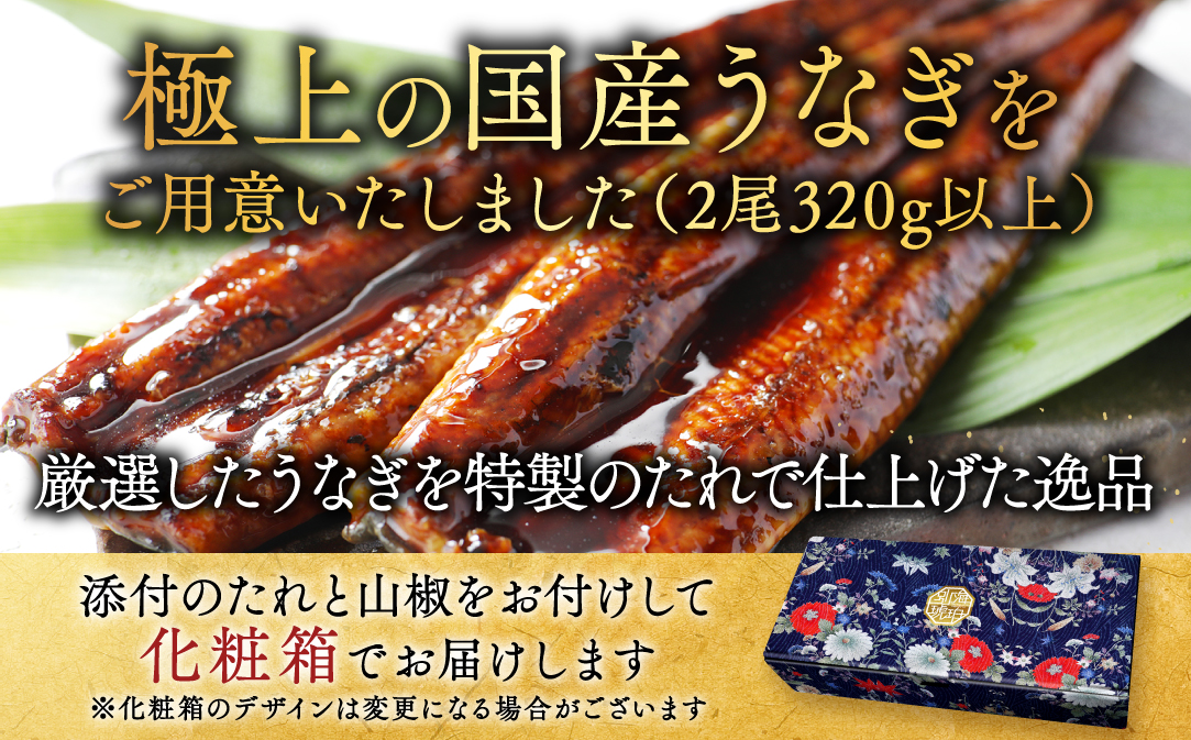 （6月発送）国産　大　特上うなぎ 2尾 合計320g以上【OT000O160】