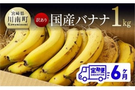 【定期便】【訳あり】国産バナナ1kg　6ヶ月定期便【国産 バナナ 無農薬 フルーツ 果物 デザート 朝食 スムージー 訳ありバナナ 全6回】