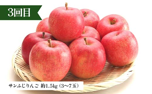 【定期便 3回】シャインマスカットから始まる満足定期便(1) シャインマスカット ラ・フランス 洋梨 梨 りんご サンふじりんご 果物 フルーツ 山形県 中山町 F4A-0449