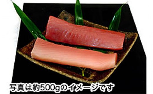 ガッツリ生びんちょうまぐろ　ドカーンと半身分のお刺身用サク