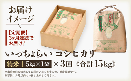 【令和5年産】《定期便3回》いっちょらい 精米 5kg（計15kg）／ 福井県産 ブランド米 コシヒカリ ご飯 白米 新鮮 大賞 受賞 新米 