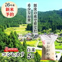 【ふるさと納税】【6回定期便】白米 5kg 令和6年産 コシヒカリ 岡山 「おおがや米」生産組合 G-af-CDZA