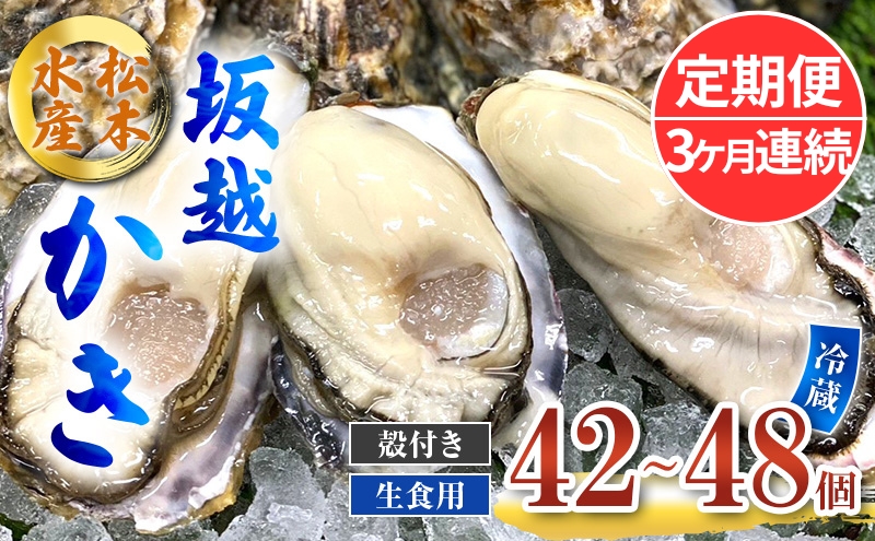 定期便 牡蠣 生食用 坂越かき 殻付き 42～48個《3ヶ月連続お届け》 松本水産 [ 生牡蠣 真牡蠣 かき カキ 冬牡蠣 ]