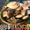 【ふるさと納税】 千葉県産活ハマグリ 1kg 〜 3kg 天然 はまぐり ハマグリ 蛤 貝 魚介 お取り寄せ グルメ ふるさと 納税 千葉県 長生村 九十九里