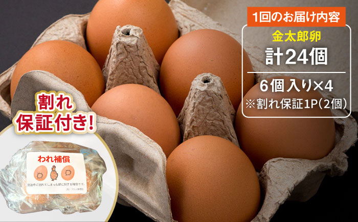【12回定期便】【TVで紹介！】【鮮度ＡＡ級の世界最高ランク！】金太郎卵 平飼い たまご 24個（6個×4パック）＜有限会社フジノ香花園＞那珂川市 [GAM035]