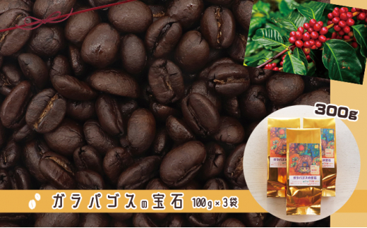 
[№5341-0394]アームズメソッド焙煎　ガラパゴスの宝石Coffee
