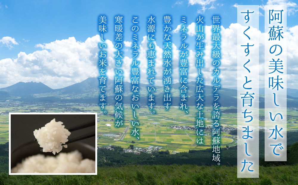 【令和6年度】 水穂やまだの新米　(くまさんの輝き）白米 20kg お米 米 熊本県 阿蘇市 20kg（5kg×4袋）