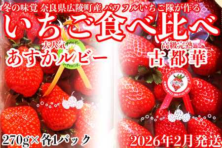 いちご好きのためのいちご 奈良県ブランドいちご 「古都華」「あすかルビー」2026年2月発送 / いちごいちごいちごいちごいちごいちごいちごいちごいちごいちごいちごいちごいちごいちごいちごいちごいちごいちごいちごいちごいちごいちごいちごいちごいちごいちごいちごいちごいちごいちごいちごいちごいちごいちごいちごいちごいちごいちごいちごいちごいちごいちごいちごいちごいちごいちごいちごいちごいちごいちごいちごいちごいちごいちごいちごいちごいちごいちごいちごいちごいちごいちごいちごいちごいちごいちごいちごいちごいちご
