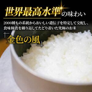 金色の風 精米 5kg 岩手県産 米 白米 こんじきのかぜ はくまい お米 コメ rice ごはん 常温 常温保存 保存 農家 農作物 栄養 夕飯 大船渡 三陸 岩手県 国産