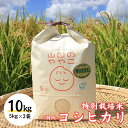 【ふるさと納税】令和6年新米『山田のややこ』特別栽培米コシヒカリ 精米 10kg＜茨城県共通返礼品・河内町産＞ | 茨城県 龍ケ崎市 令和6年産 新米 食味 特A お米 ご飯 コシヒカリ 特別栽培米 厳選米 産地直送 精米 おすすめ もっちり 冷めてもおいしい 1240250