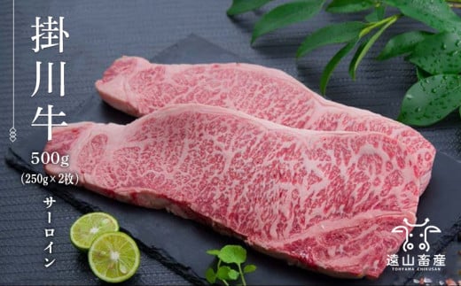 ５９９５　牛肉 掛川牛「和牛」サーロイン500ｇ(250g×2枚)　遠山畜産