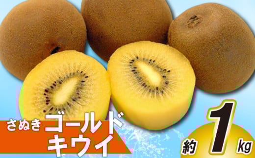 先行予約 キウイ 約1kg キウイフルーツ ゴールドキウイ さぬきゴールドキウイ 果物 果実 フルーツ 旬 デザート 選べる 容量 10月下旬～12月中旬 配送 家庭用 贈答用 ギフト プレゼント 香川県 丸亀市