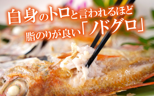白身のトロといわれるほど脂のりが良いノドグロ