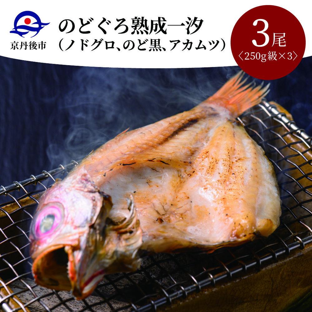 【ふるさと納税】【海鮮の匠　魚政】のどぐろ熟成一汐（ノドグロ、のど黒、アカムツ）250g級使用 仕上がり後 185g以上 3尾セット 干物 一夜干し 脂のり 焼き魚 高級魚 魚 旬 旨み 凝縮 塩焼き 煮付け 濃厚 上質 脂 個包装 魚政 お取り寄せ 日本海産 送料無料 先行予約