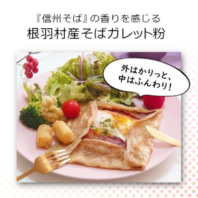 ふるさと納税 根羽村 訳あり! 信州根羽村産 そばガレット粉 600g (300g×2袋) |  | 02