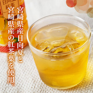 【6ヶ月定期便】サンA 日向夏 紅茶 HINATA TEA 500mlＰＥＴ 24本 入り×2ケース 【飲料 日向夏 紅茶 PET セット ジュース 長期保存 送料無料】
