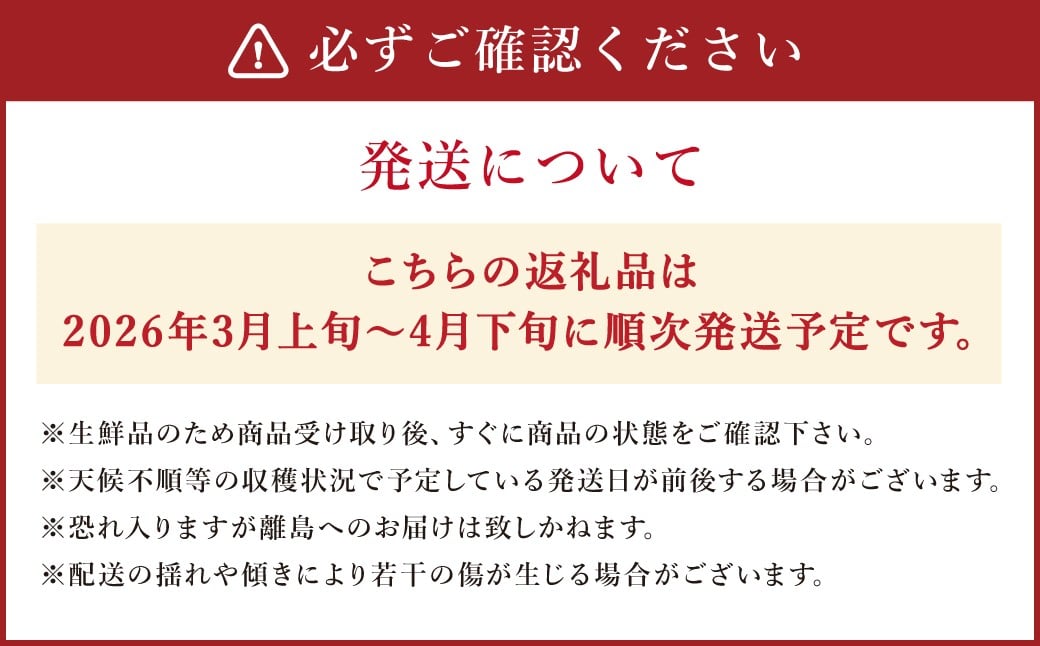 ジューシーオレンジ 約10kg 柑橘類 晩柑 熊本県産 【2026年3月上旬～4月下旬まで発送予定】