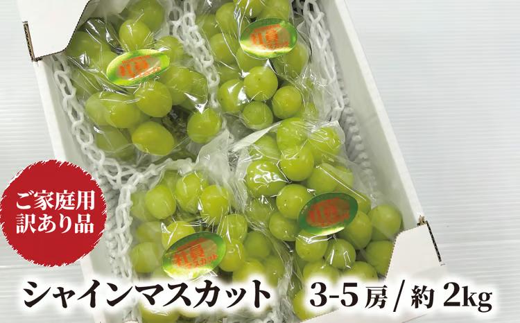 【訳あり】 シャインマスカット ご家庭用/約2.0kg～ (岡山県産) 【KF-B020-04】