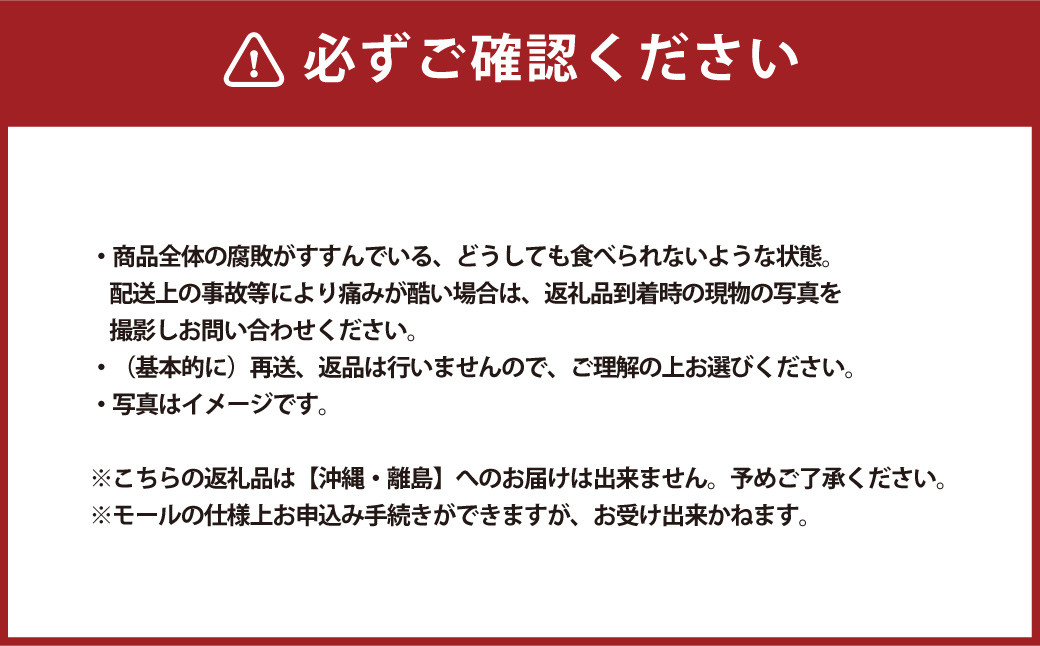ご家庭用 岡山白桃 晩生 4～5玉  計1.2kg