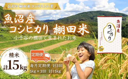 【 令和7年産 定期便 】 魚沼産コシヒカリ 5kg×3回（計15kg） 毎月発送 棚田コンテスト入賞者