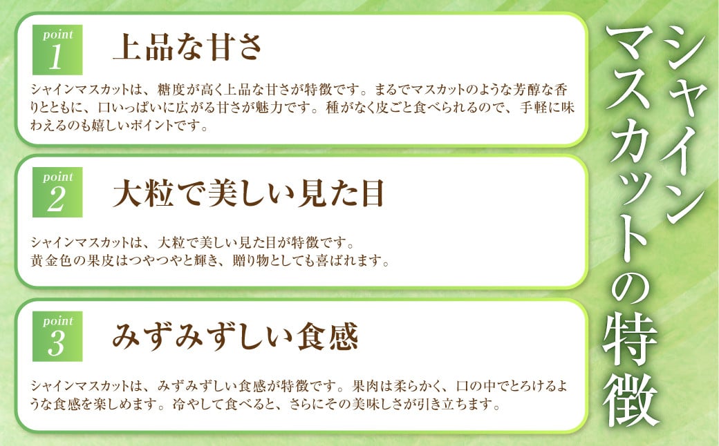 岡山県産 シャインマスカット「晴王」とニューピオーネ Lサイズ 計約800g