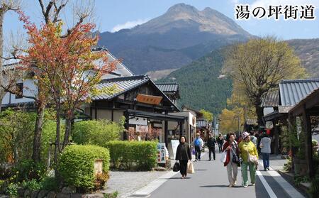 【湯布院、由布院、湯平、塚原高原】JTBふるさと旅行券（90,000円分）有効期間5年 | 予約 宿泊 観光 体験 温泉 ホテル 旅館 チケット 子供 子連れ カップル 家族 店頭 電話 由布市