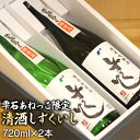 【ふるさと納税】 清酒しずくいし 特別純米酒 おすすめ 純米吟醸酒 720ml 各1本 セット ／ 限定酒 限定品 限定 酒 地酒 日本酒 清酒 純米酒 吟醸酒 ギフト 贈り物 お中元 御中元 お歳暮 御歳暮 誕生日 父の日 母の日 プレゼント お取り寄せ 岩手県 雫石町 送料無料 あねっこ