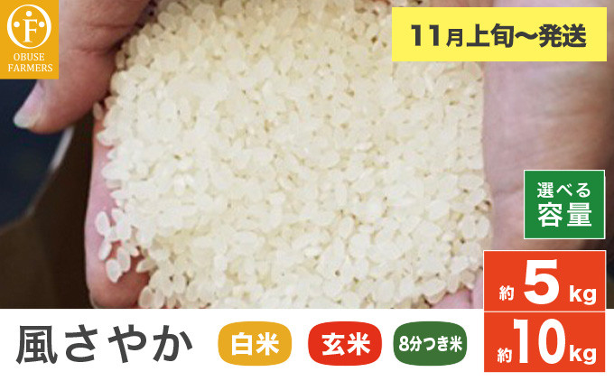 
            風さやか 白米 玄米 8分つき米  約5kg  約10kg 選べる 精米方法 内容量 ［ おぶせファーマーズ ］ お米 コメ おこめ ご飯 精米 長野県産【2025年11月上旬～発送】 
          