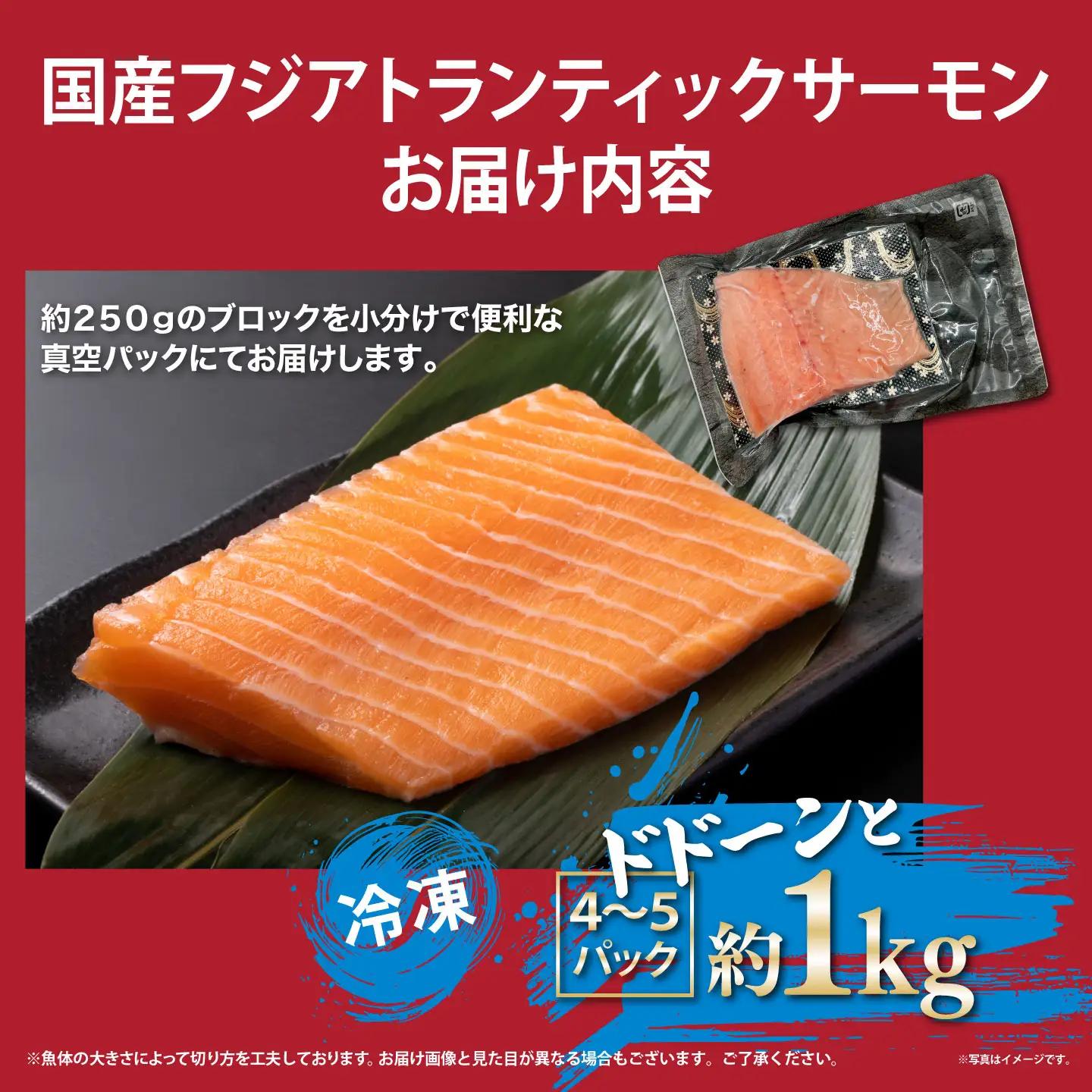 国産サーモン 冷凍 4～5P 約1kg（魚体大きめ） サーモン