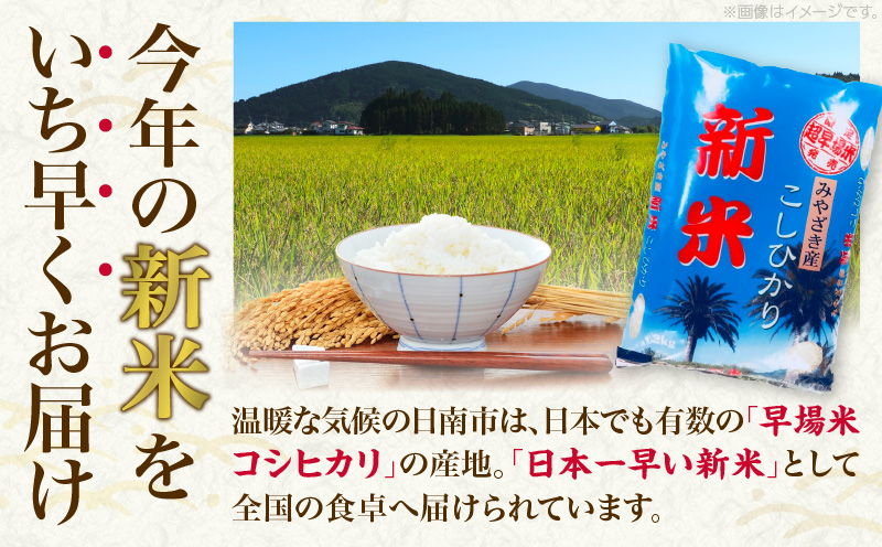 新米 コシヒカリ お米 2kg ご飯 ライス 国産 令和6年産 数量限定 期間限定 人気 食品 精米 白米 こしひかり 有洗米 おにぎり お弁当 炊き込みご飯 雑炊 ギフト プレゼント 贈り物 お取り