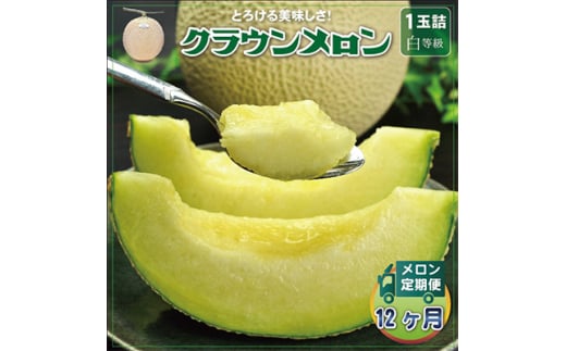 ＜毎月定期便＞クラウンメロン(白等級) 1玉 全12回【4012623】