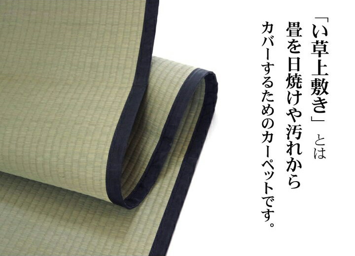 い草上敷き【清正】江戸間6畳