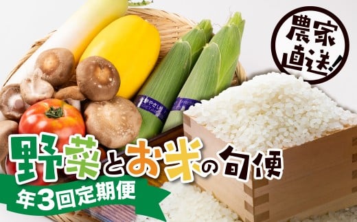 【R-9】[定期便]郡上の旬野菜とお米（年３回） 食品  野菜 セット 詰め合わせ 25000円