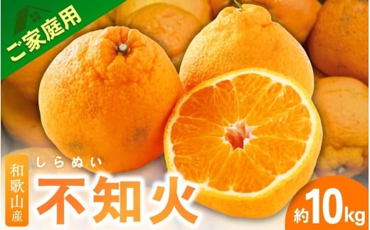 ＜2月より発送＞【先行予約】家庭用不知火10kg+250g（傷み補償分）【デコポンと同品種・人気の春みかん】【わけあり・訳あり】 / 和歌山 みかん 果物 ミカン フルーツ 果実 柑橘 デコポン【ikd232】