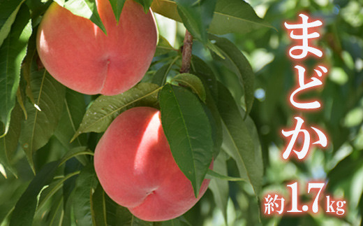 
            No.2423もも「まどか」 特秀品約1.7kg【2025年発送　先行予約】
          