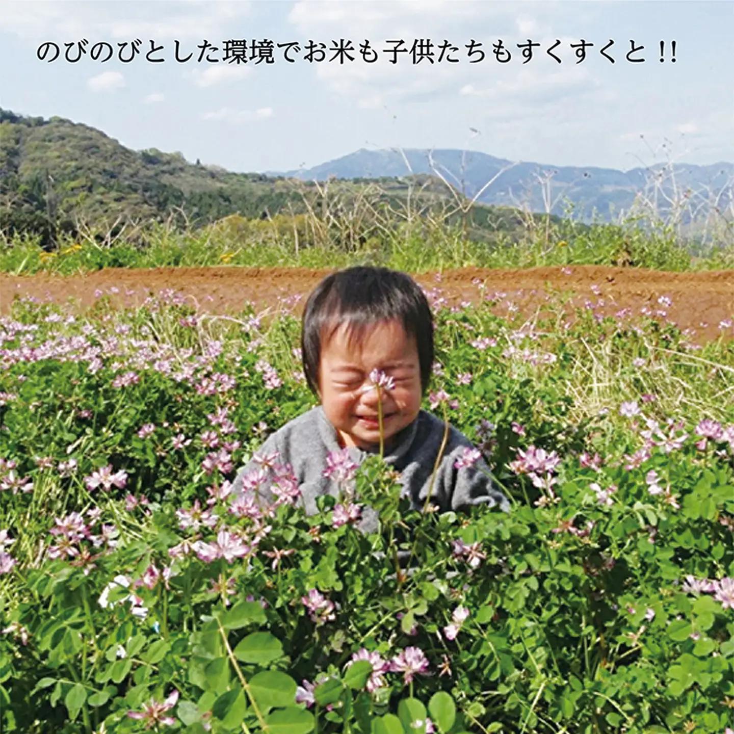 【令和8年産 新米】しょうちゃんの棚田米 夢しずく 玄米 5kg 佐賀県産 米 栽培期間中農薬・化学肥料不使用 _b-94